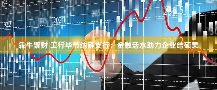 犇牛聚财 工行毕节纳雍支行：金融活水助力企业结硕果