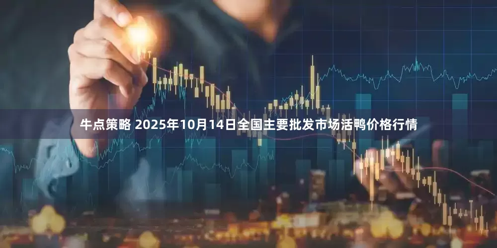 牛点策略 2025年10月14日全国主要批发市场活鸭价格行情