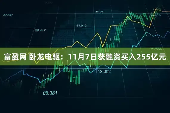 富盈网 卧龙电驱:11月7日获融资买入255亿元