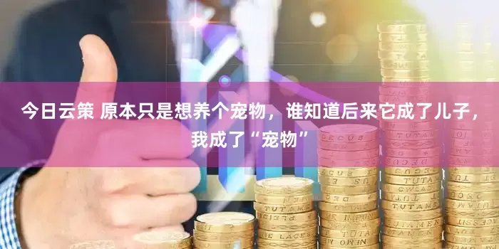 今日云策 原本只是想养个宠物,谁知道后来它成了儿子,我成了“宠物”